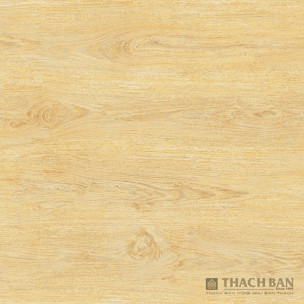 Gạch lát nền vân gỗ là một trong những sự lựa chọn phổ biến nhất cho các khu vực nội thất của ngôi nhà. Vậy tại sao lại không đến và xem những hình ảnh này để cảm nhận sự đẹp đẽ của nó trên mọi không gian nội thất đúng không nào?