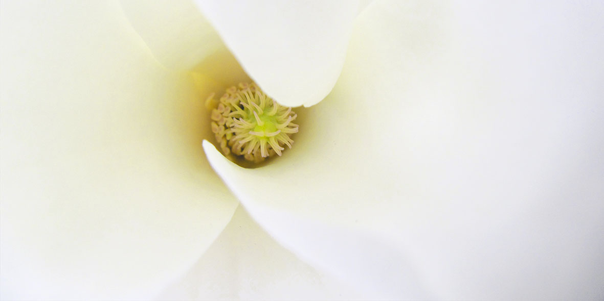 Gạch ốp tường Thạch Bàn THP36-006-32 cao cấp