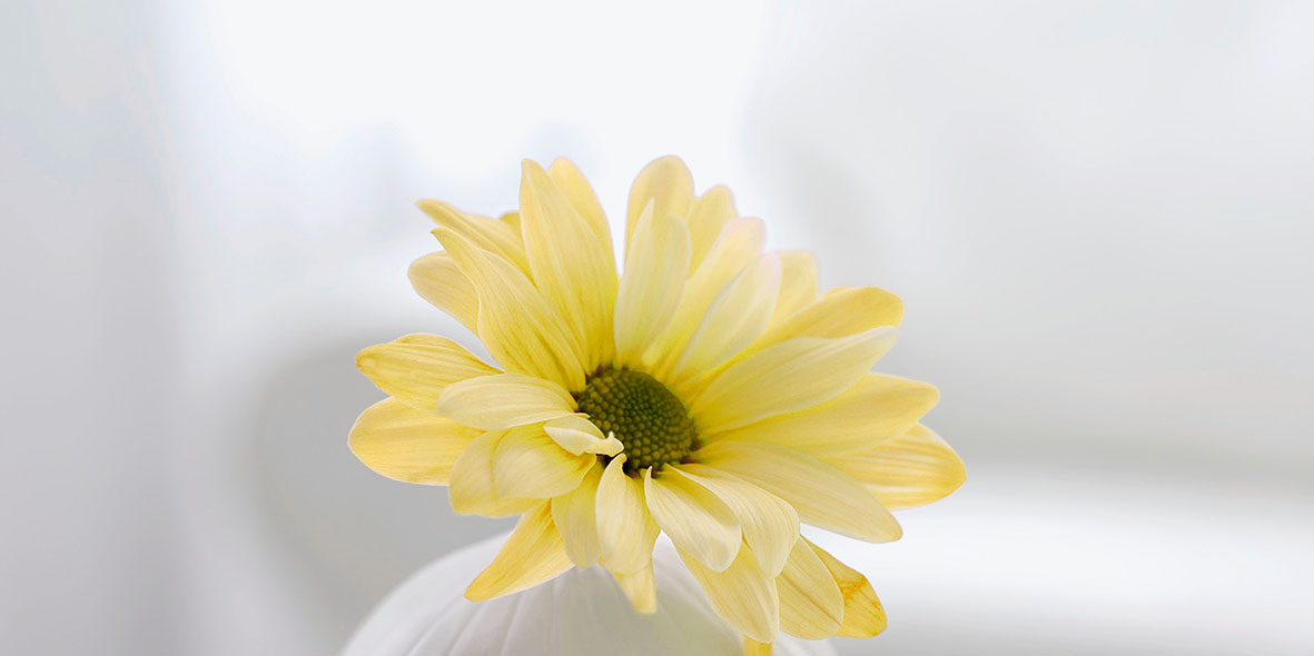 Gạch điểm ốp tường Thạch Bàn TIP36-006-21 cao cấp